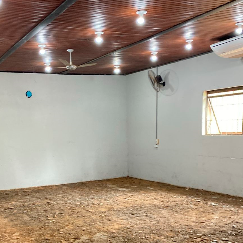 Paranavaí Inicia a Reforma do Museu para Preservar sua História!